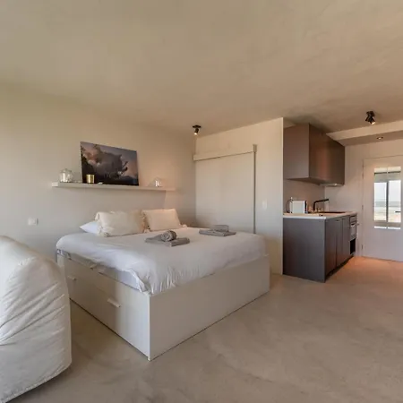 Seaview With Stunning Dune Views * Koksijde